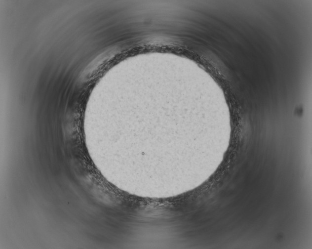 X0000116510824201001061221