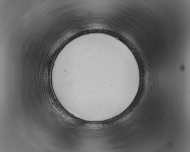 X0000116510825201001061221
