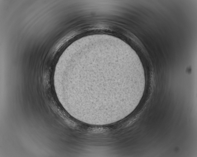 X0000116510826201001061221