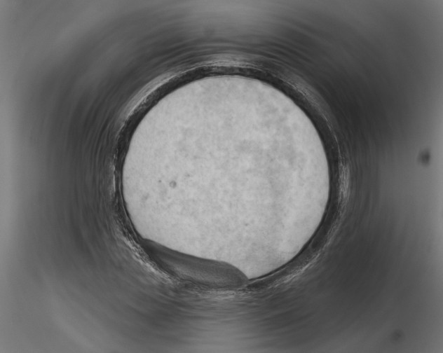 X0000116510829201001061221