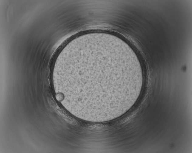 X0000116510830201001061221