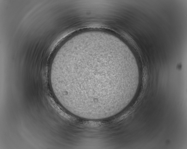 X0000116510831201001061221