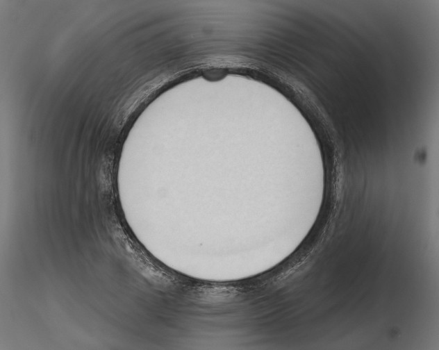 X0000116510833201001061221