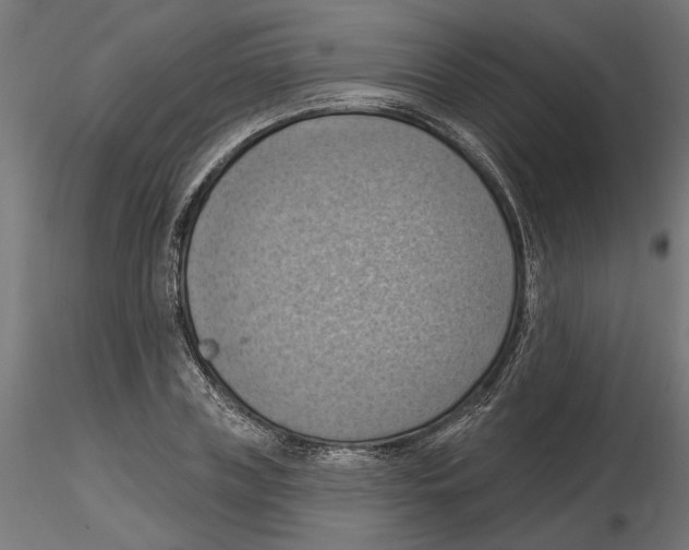 X0000116510835201001061221
