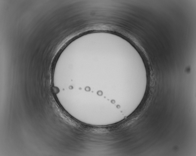 X0000116510837201001061221