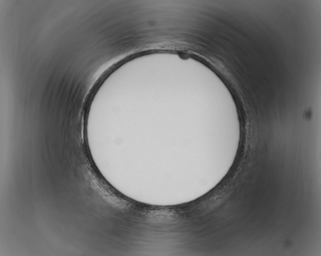 X0000116510838201001061221