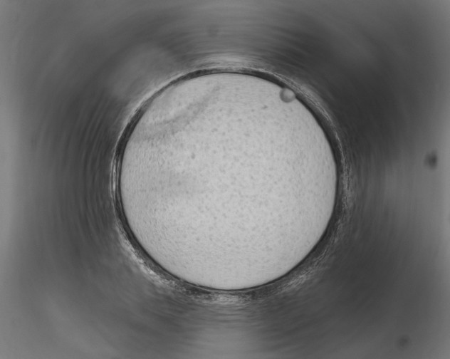 X0000116510839201001061221