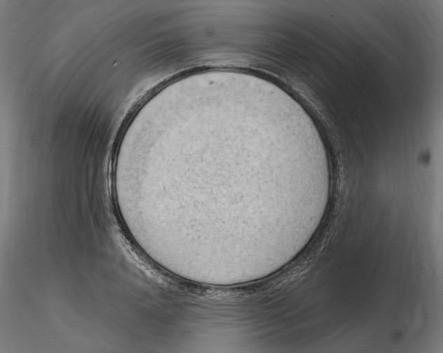 X0000116510840201001061221