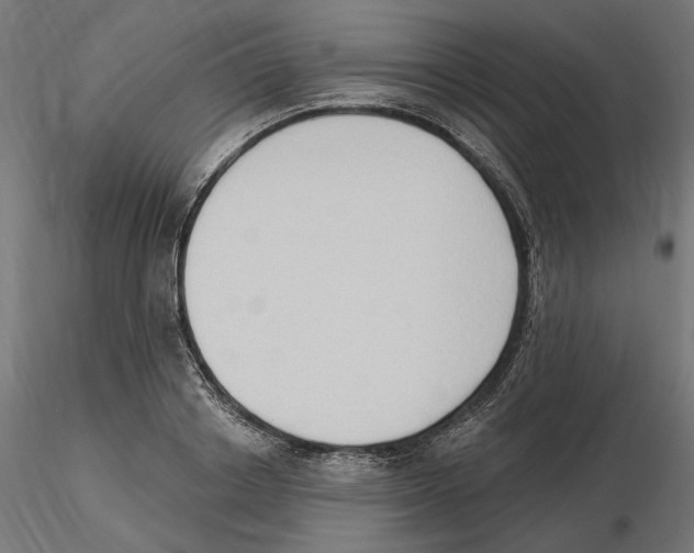 X0000116510842201001061221