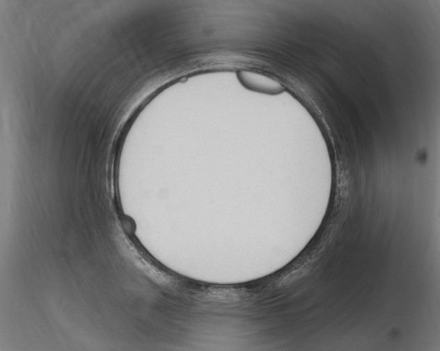 X0000116510843201001061221