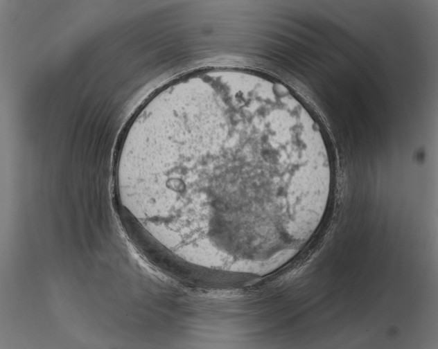 X0000116510845201001061221