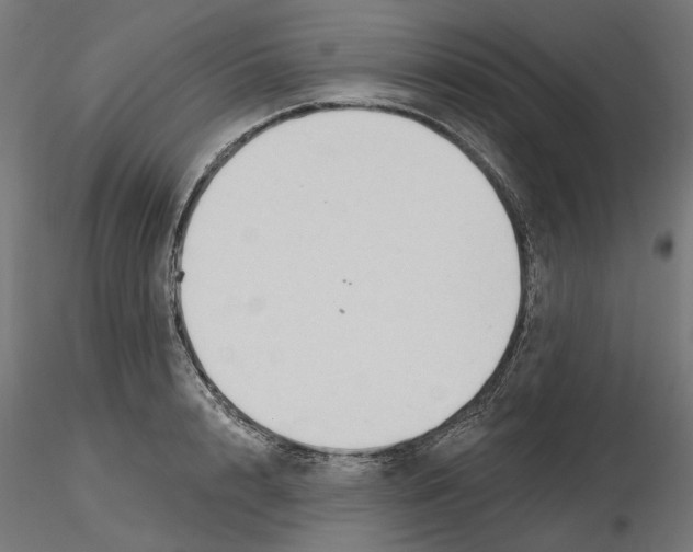 X0000116510848201001061221