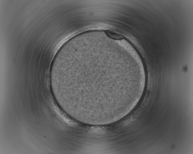 X0000116510850201001061221