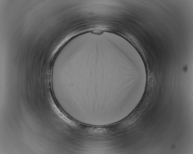 X0000116510851201001061221