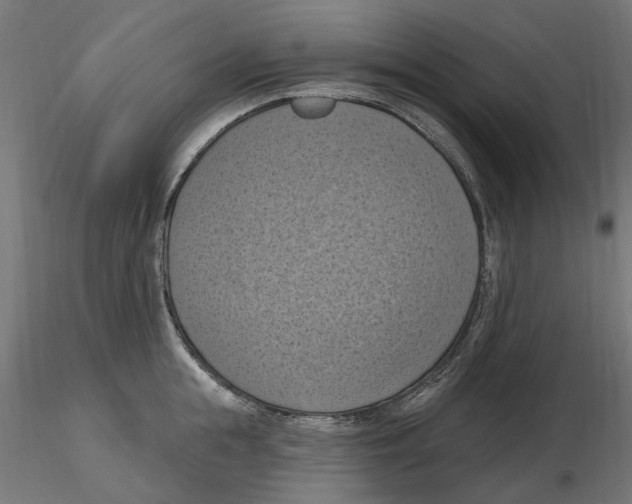 X0000116510855201001061221