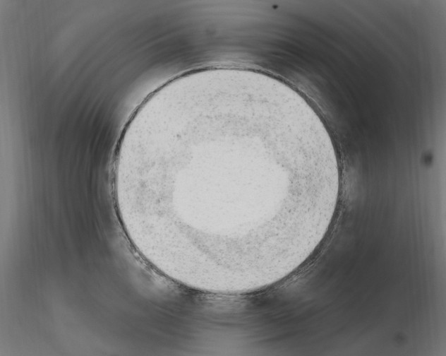 X0000116510856201001061221