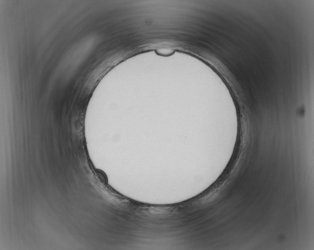X0000116510857201001061221