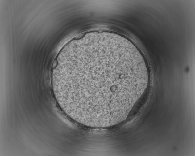 X0000116510858201001061221
