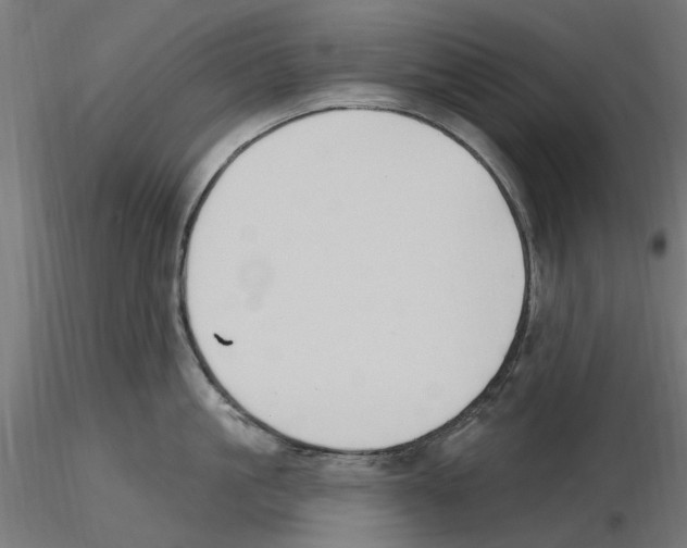 X0000116510861201001061221