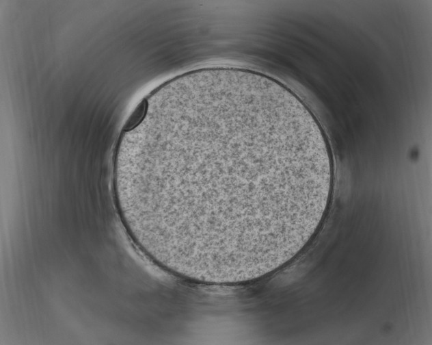 X0000116510862201001061221