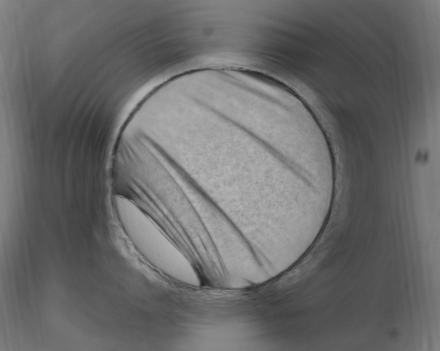 X0000116510864201001061222