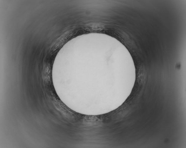 X0000116510866201001061221