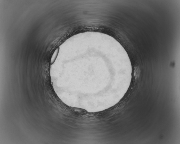 X0000116510867201001061221