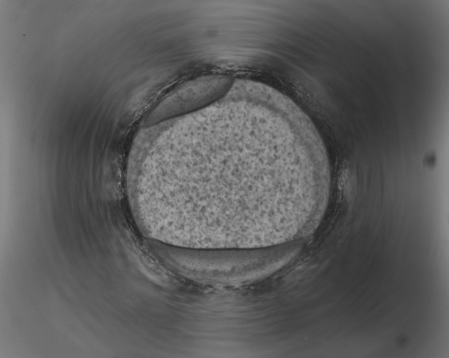 X0000116510868201001061221