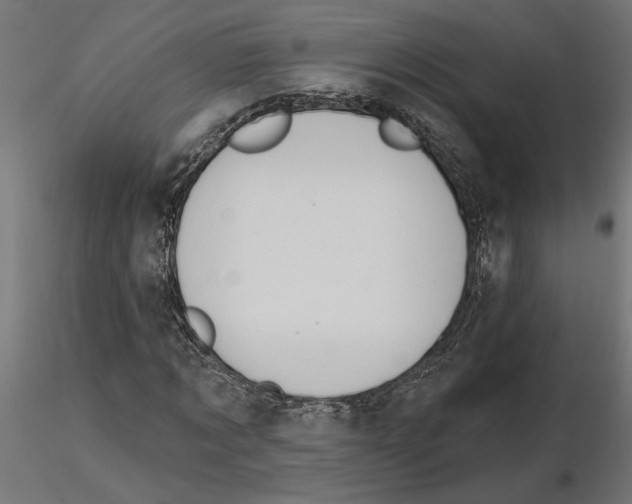 X0000116510869201001061221