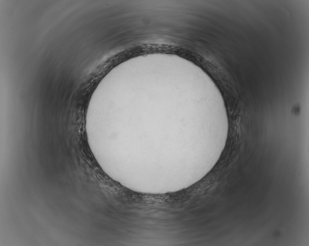 X0000116510870201001061221