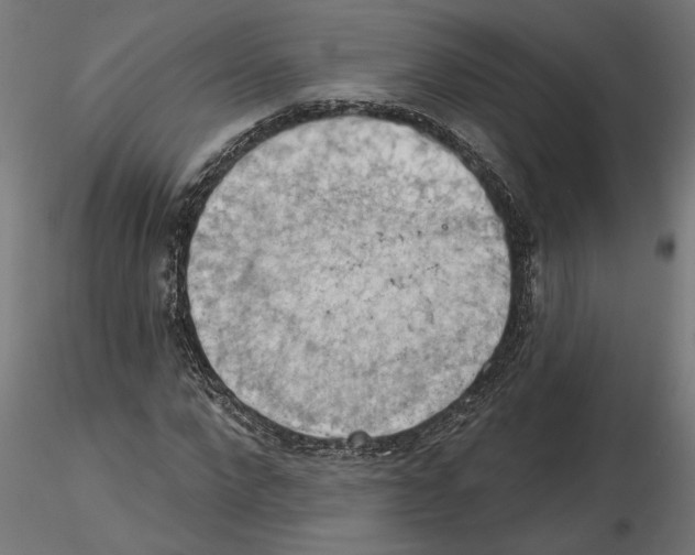 X0000116510872201001061221