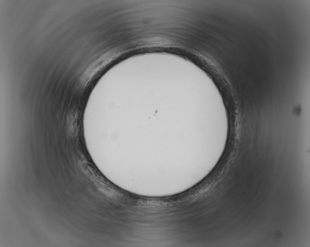 X0000116510873201001061221