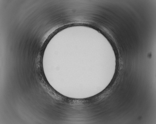X0000116510875201001061221