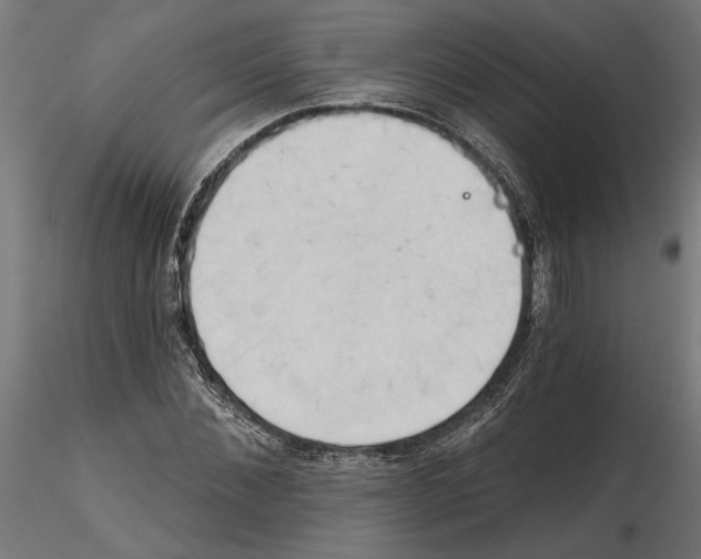 X0000116510876201001061221