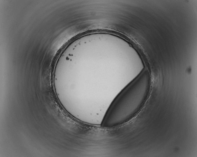 X0000116510877201001061221