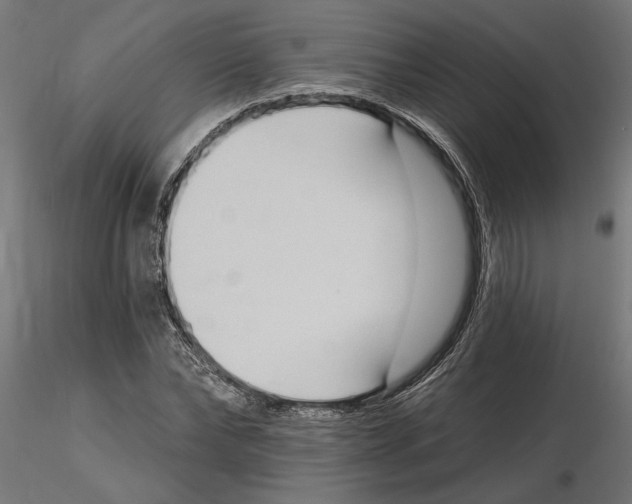 X0000116510878201001061221
