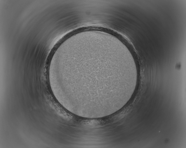 X0000116510879201001061221