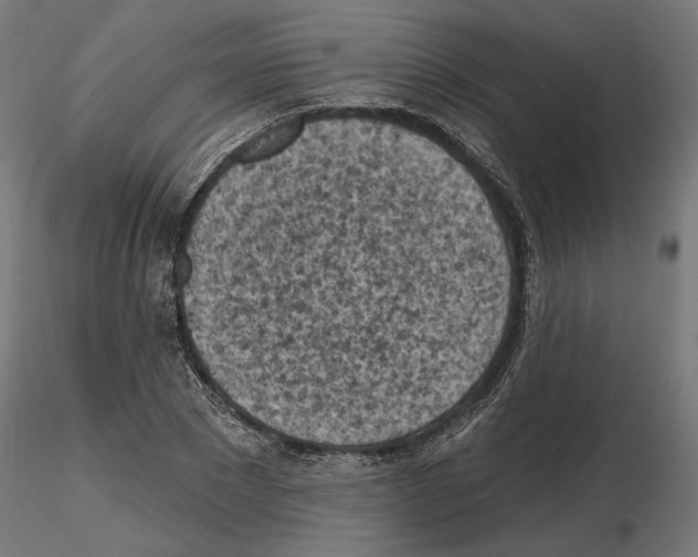 X0000116510881201001061221