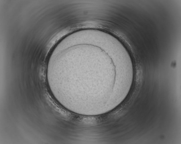 X0000116510882201001061221