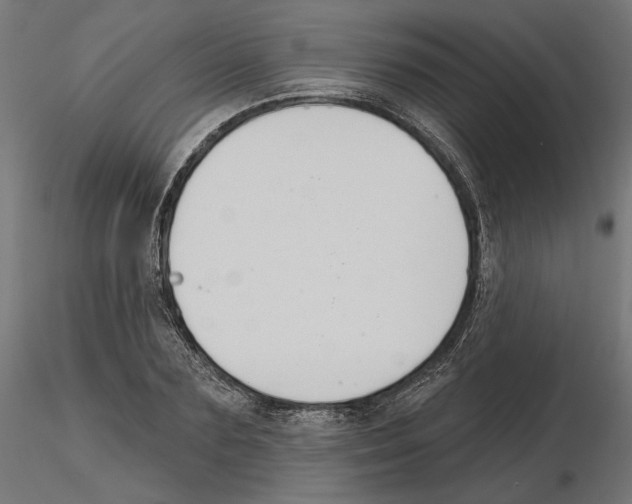 X0000116510883201001061221