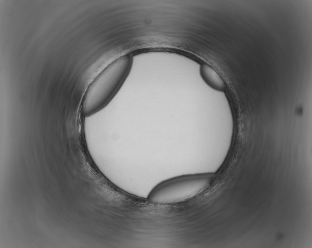 X0000116510885201001061221