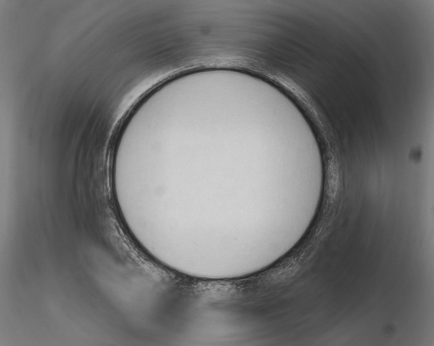 X0000116510886201001061221