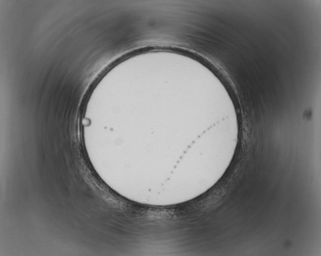 X0000116510887201001061221