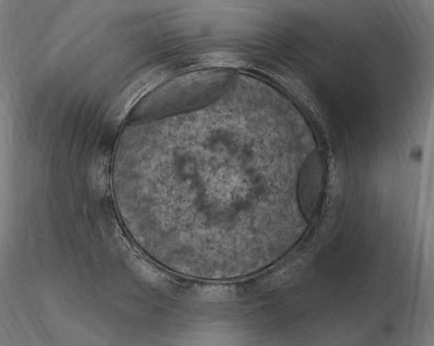 X0000116510889201001061221
