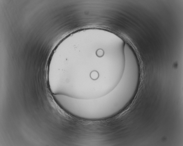 X0000116510892201001061221