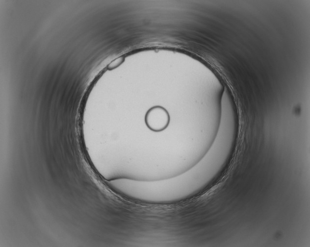 X0000116510893201001061220