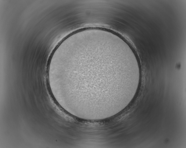X0000116510895201001061220