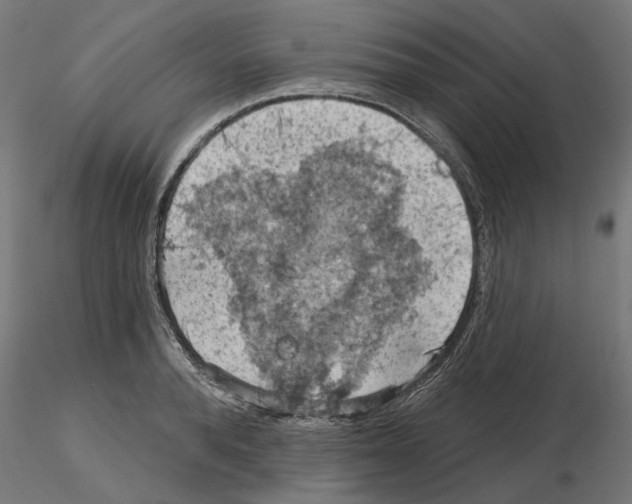 X0000116510896201001061220