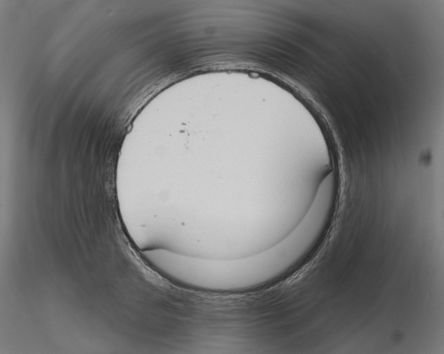 X0000116510897201001061220