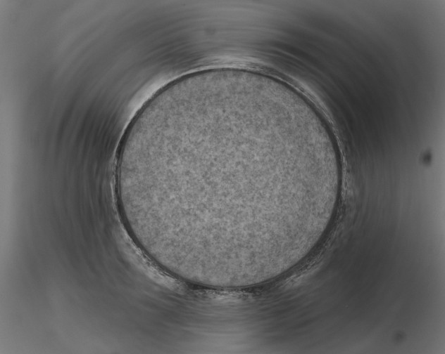 X0000116510899201001061220